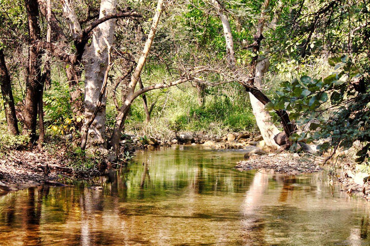 IMG_7163-mahudi-khet-reprise