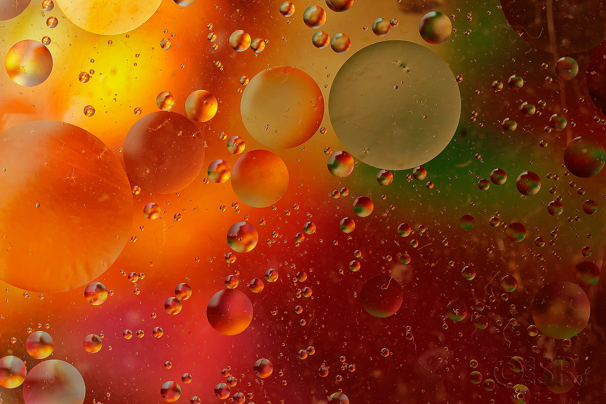 _MG_1389-oil-bubbles