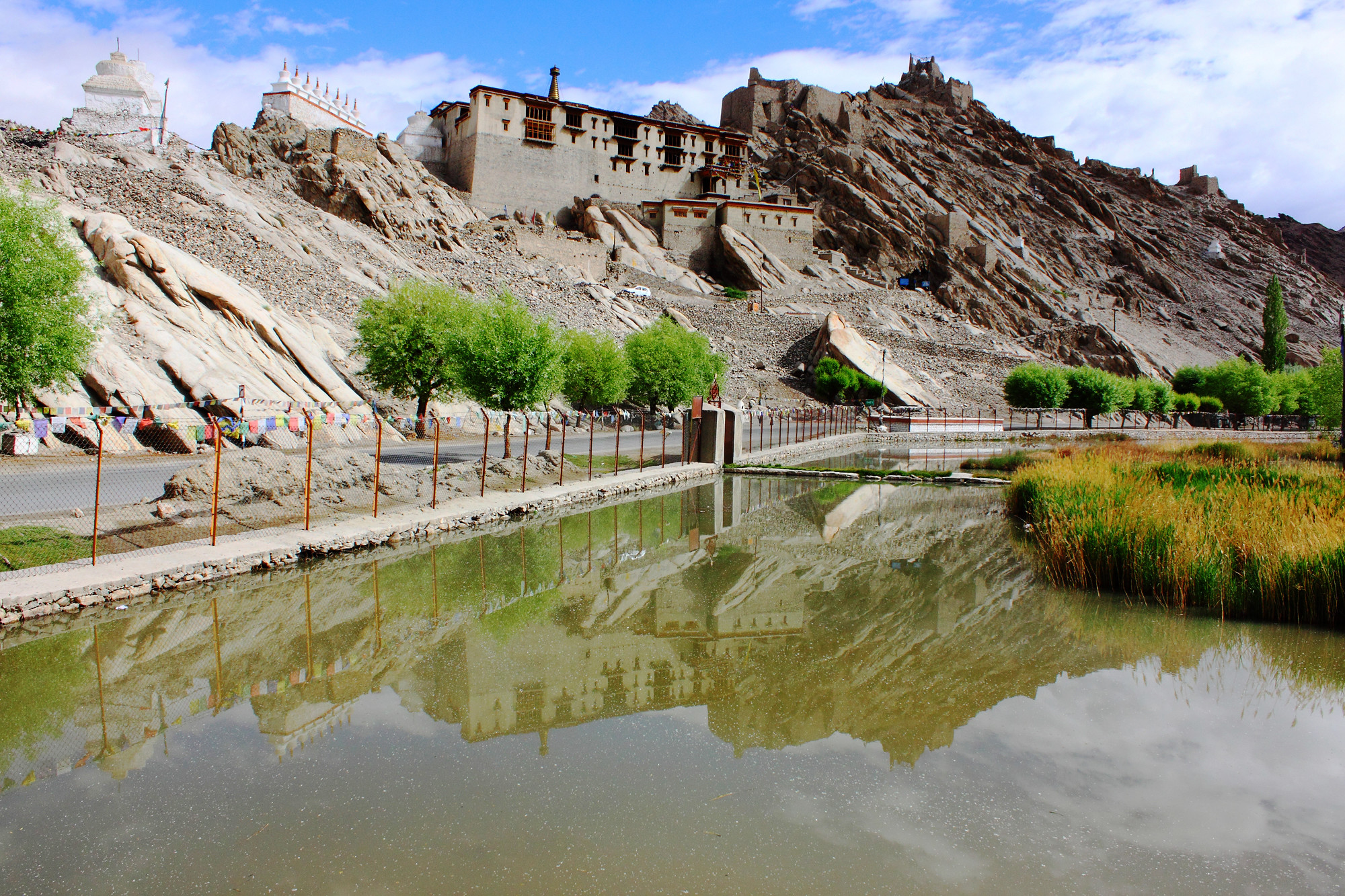 _MG_2063-shay-reflection