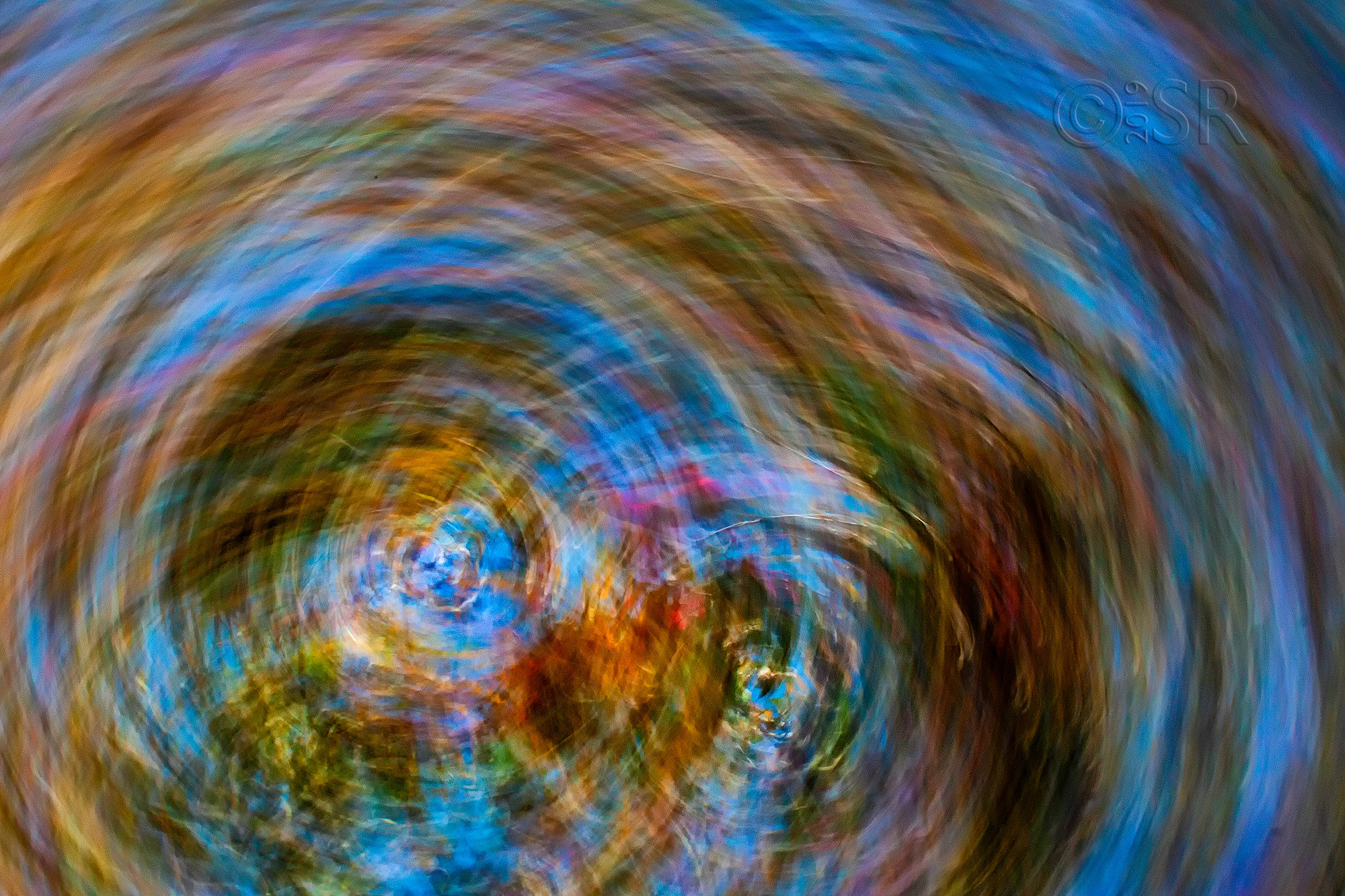 _MG_3018-swirl-2019-edit-crop1