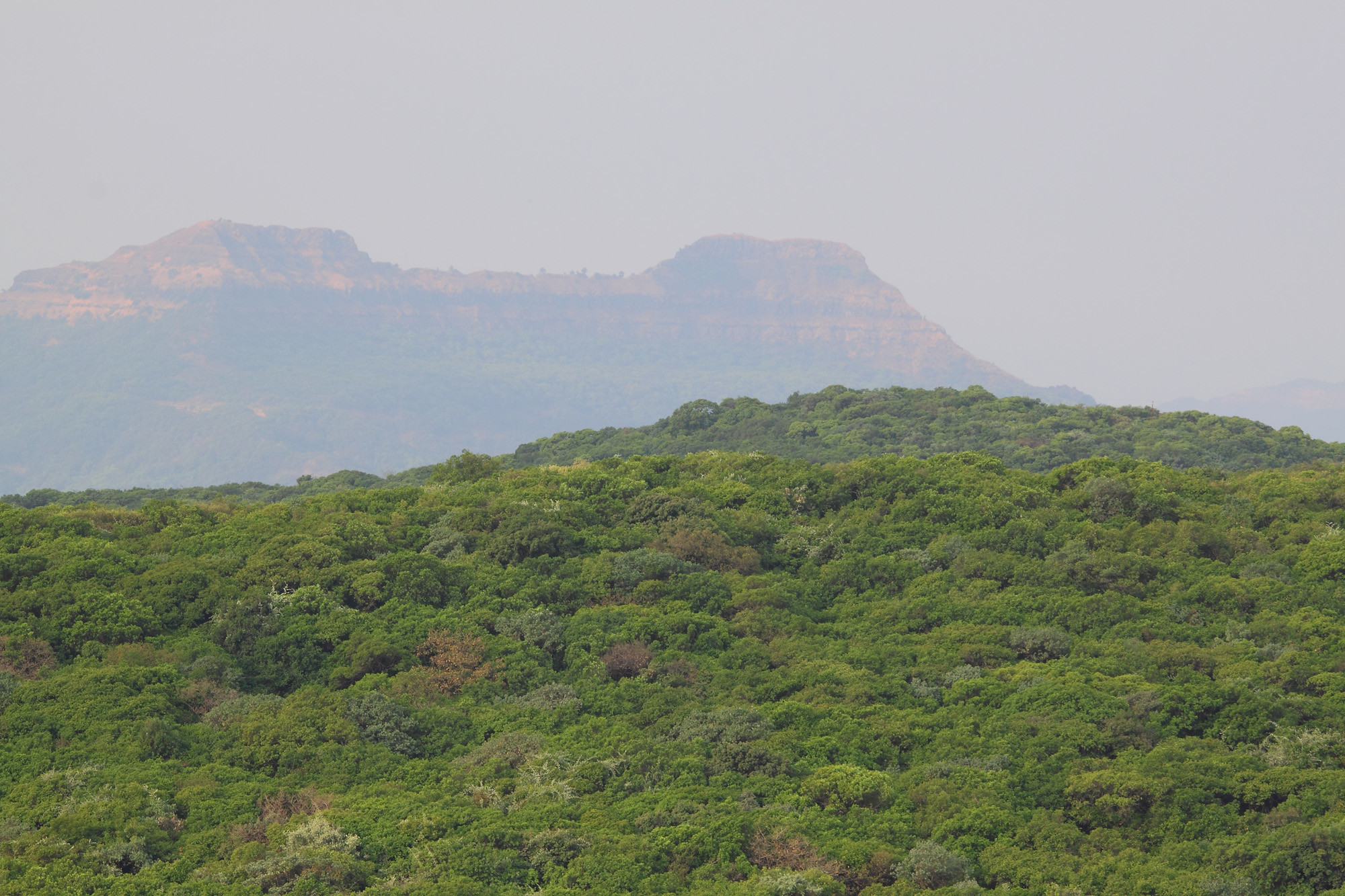 _MG_3634-view-balcony