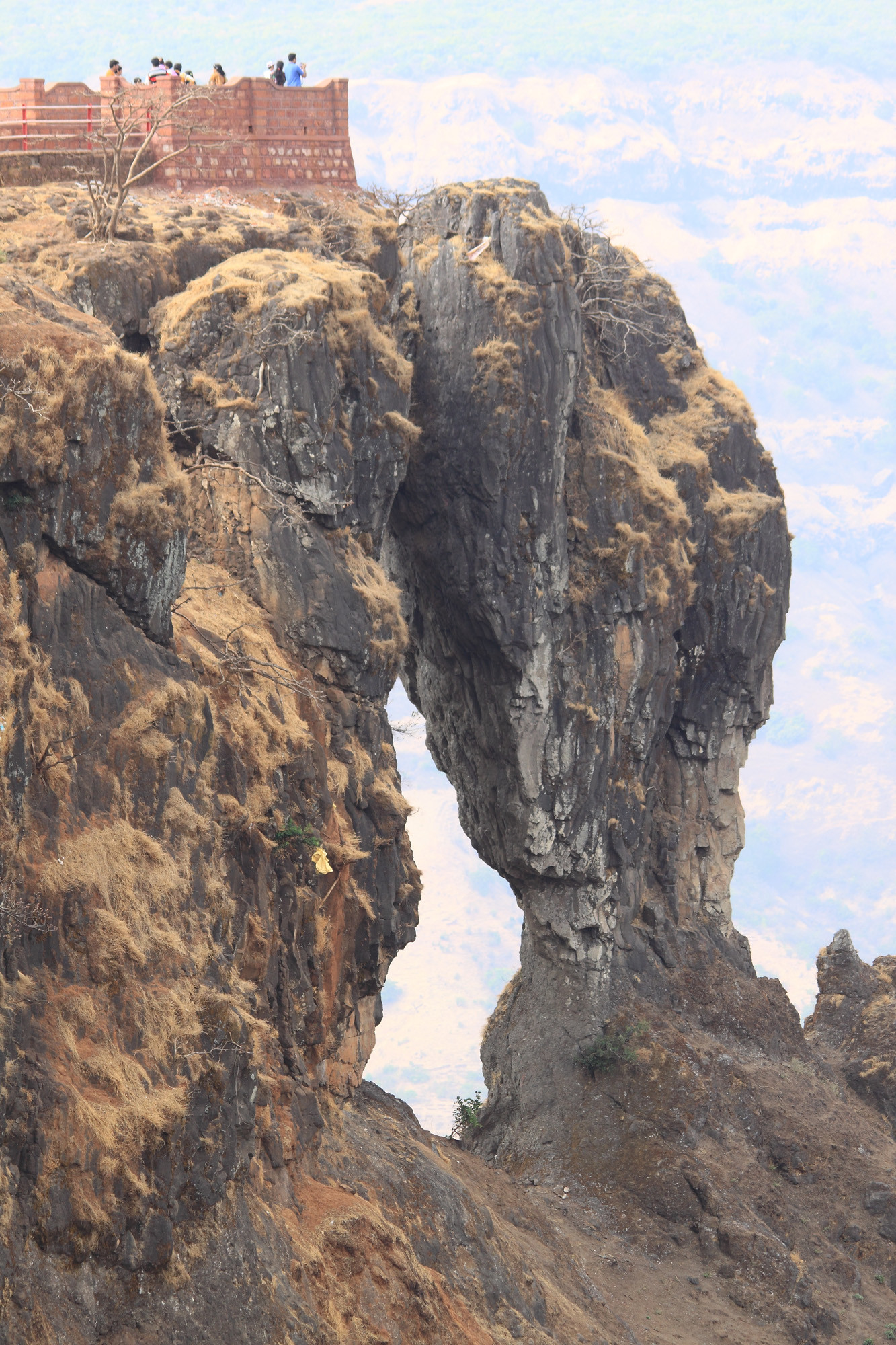 _MG_3767-elephant-point