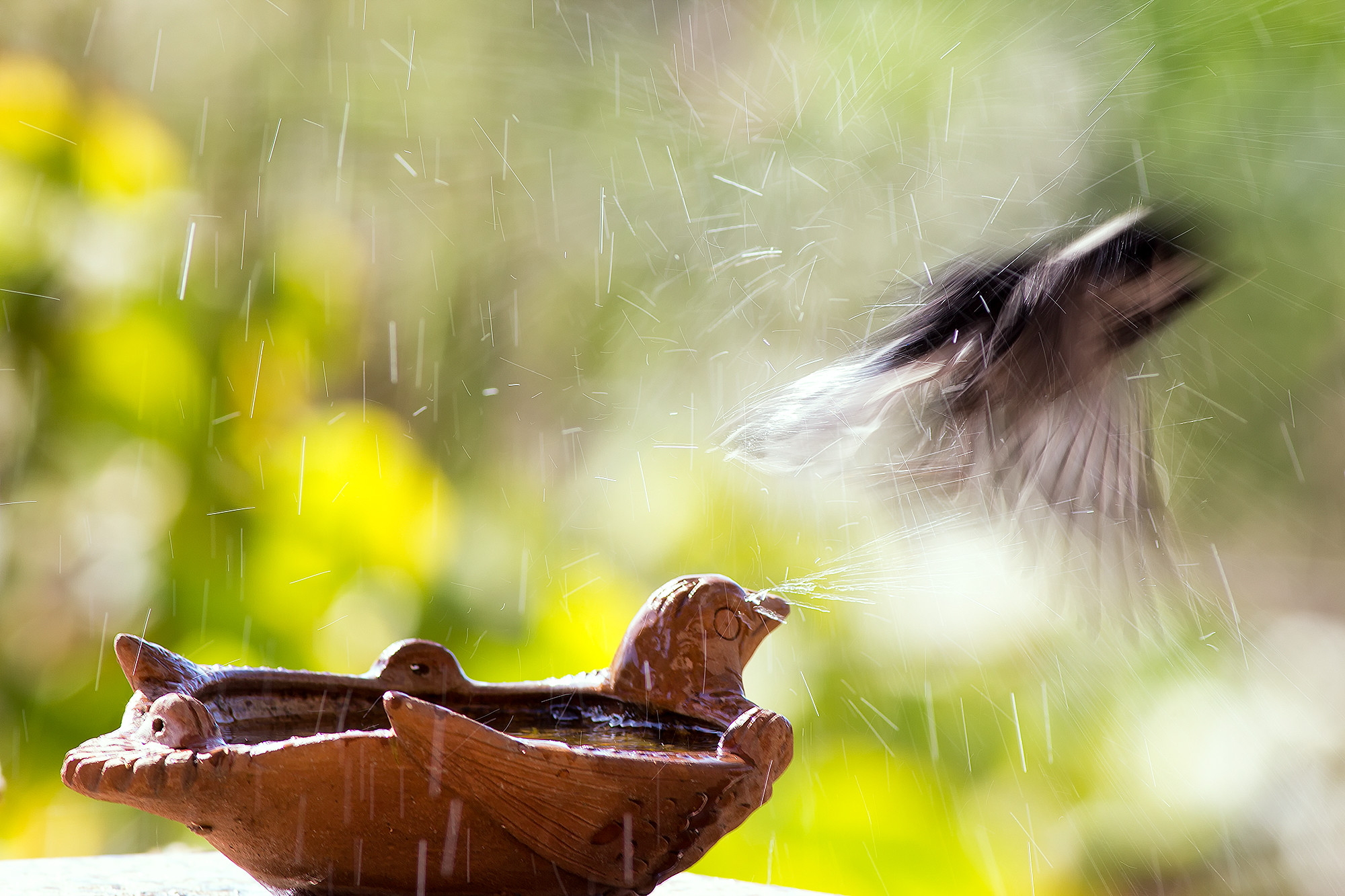 _MG_7652-wnt-flight-experiment