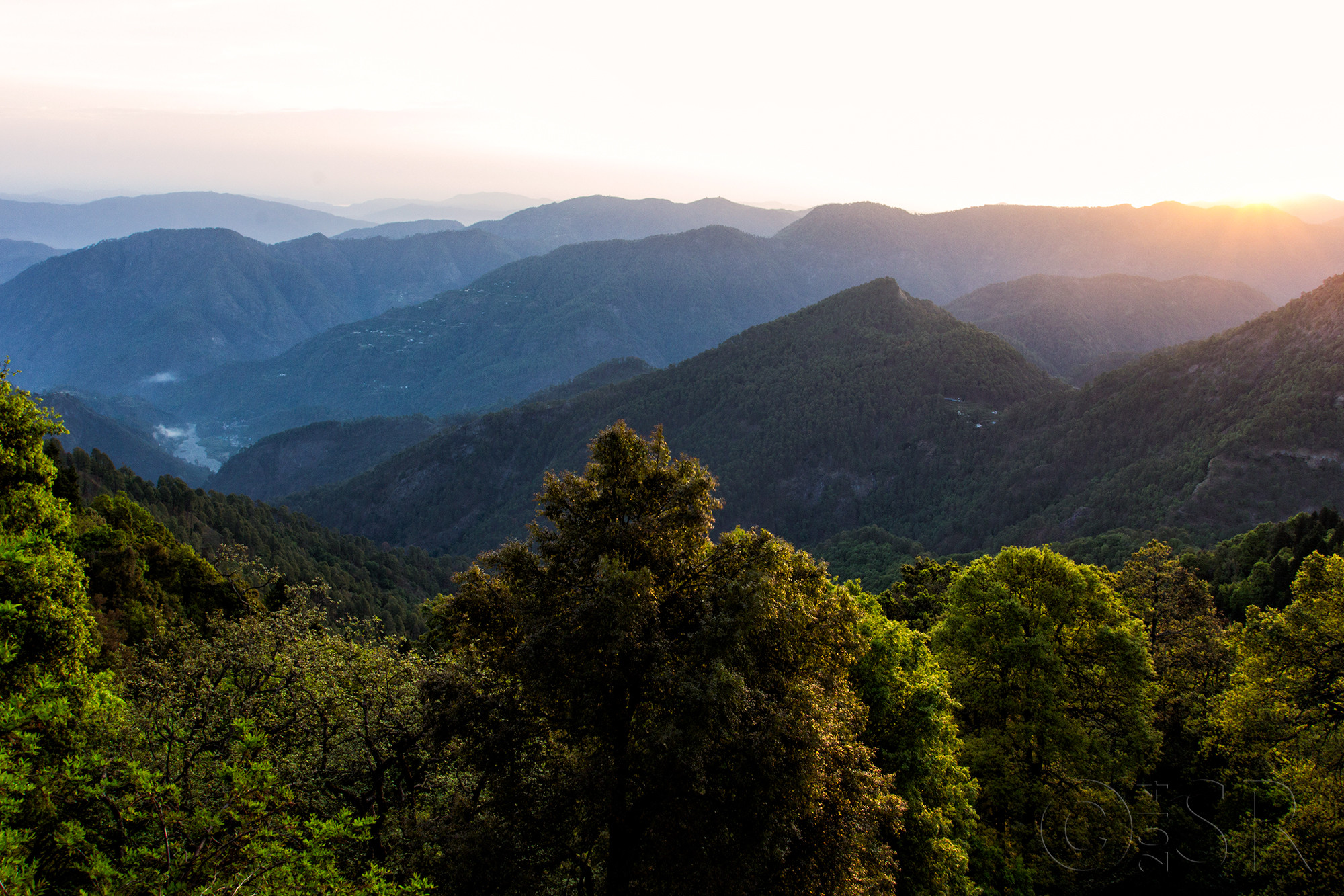 _MG_8868-pangot-sunrise