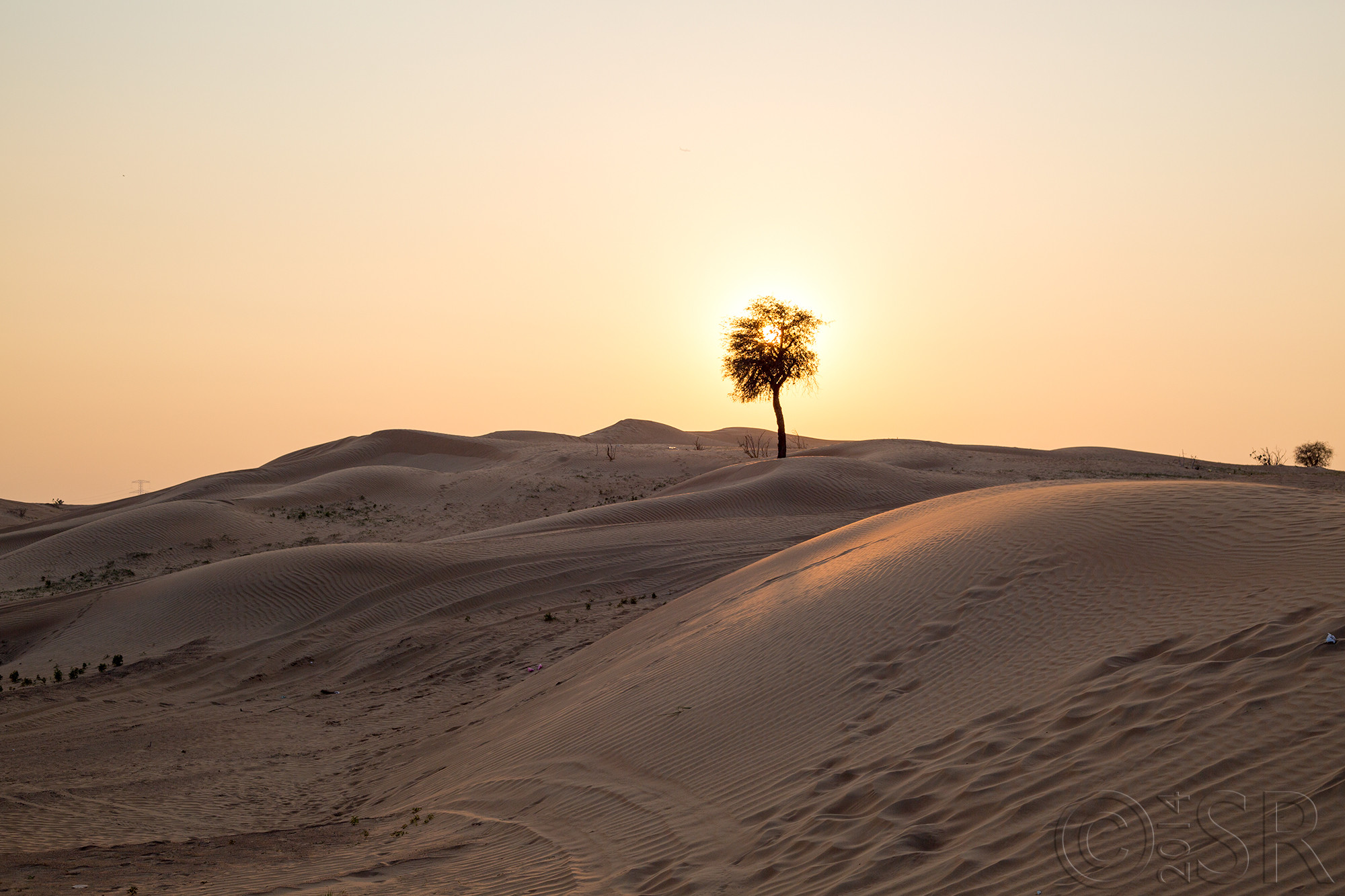 TJ2A1699-sunset-desert