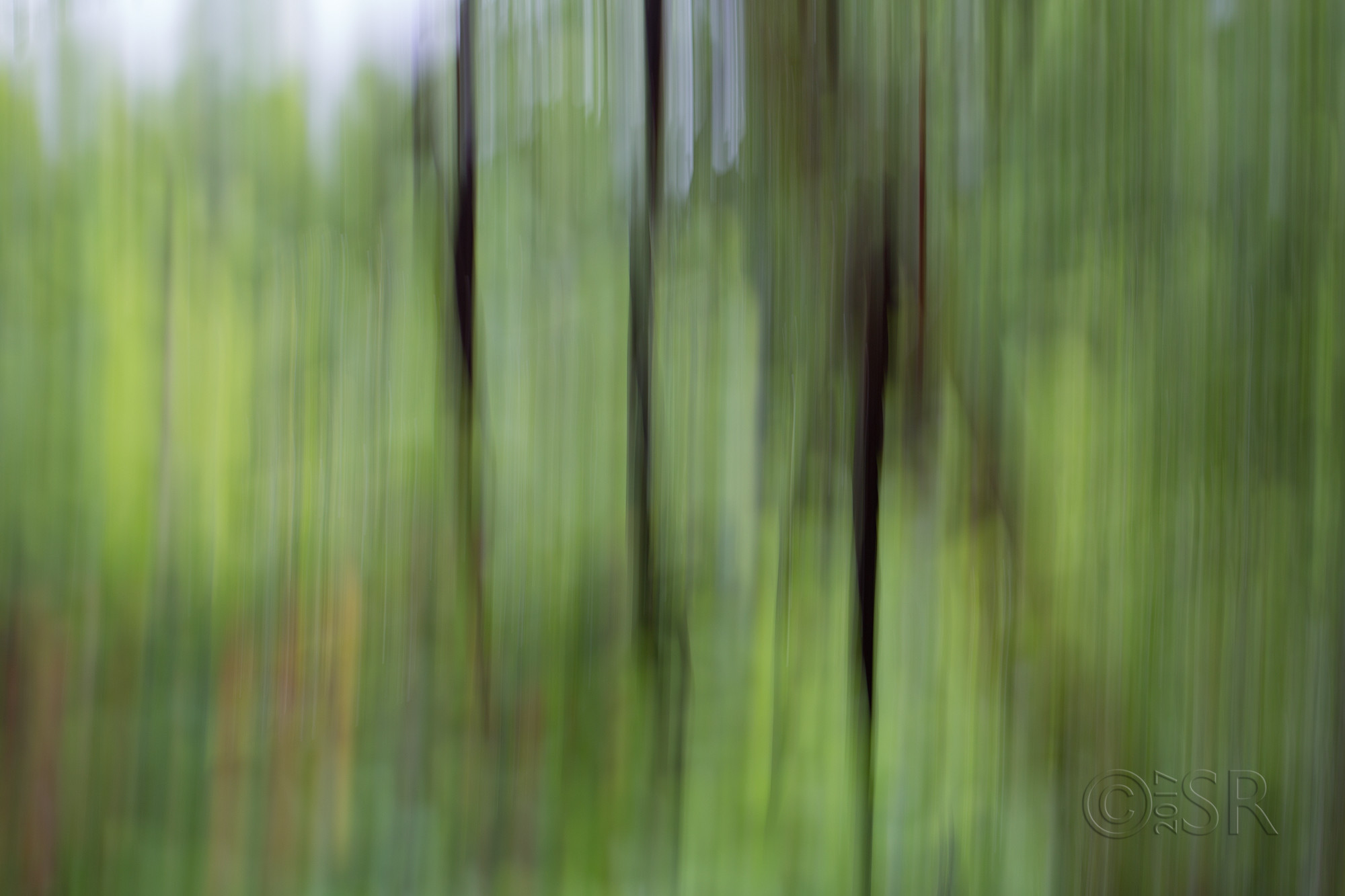 TJ2A3578-drumsticks-vertical-blur